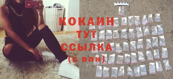 тгк Алзамай